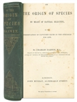 First Edition, First Printing of Charles Darwins Masterpiece, On the Origin of Species -- The most important biological book ever written